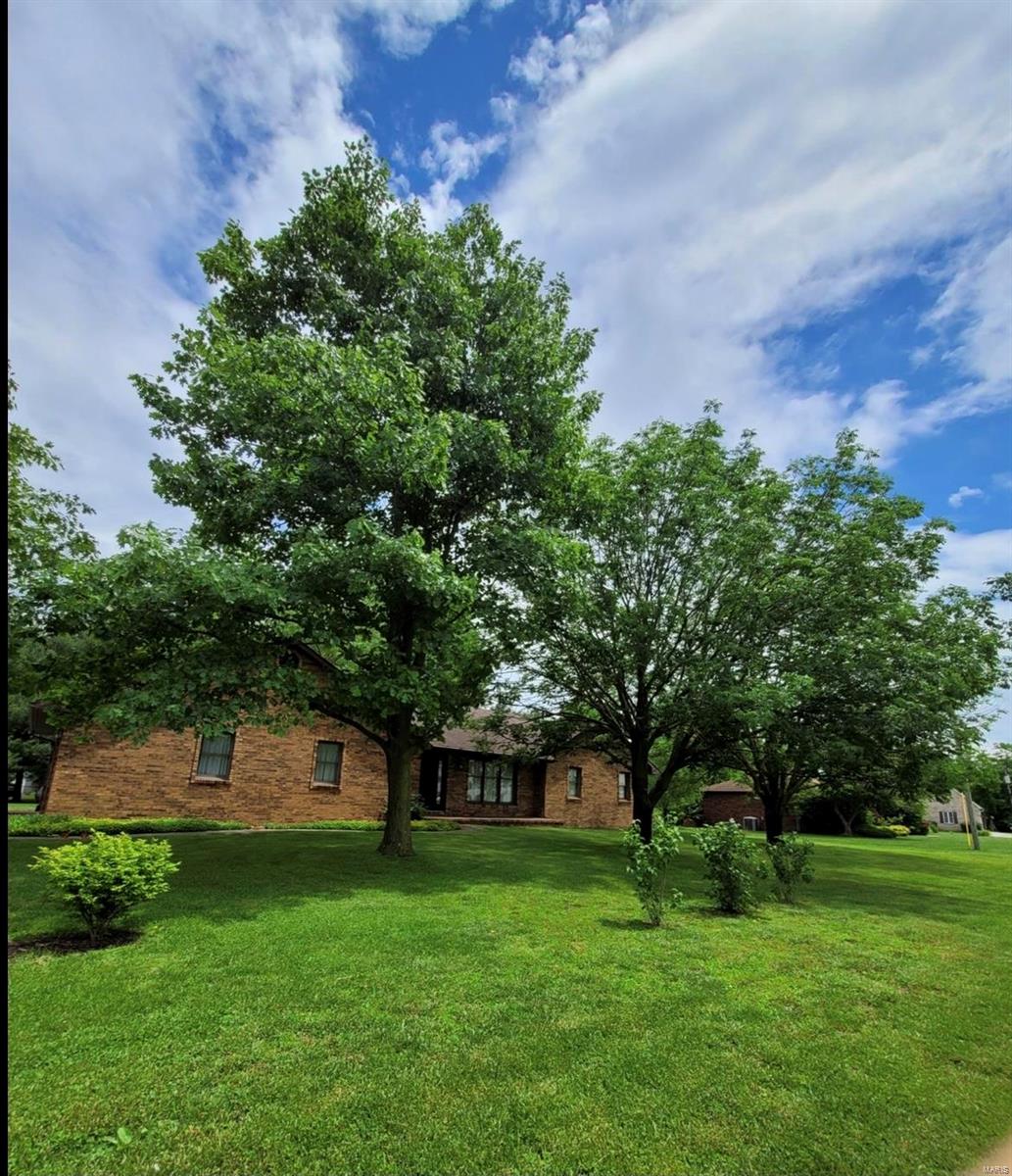 8312 Highway 159 Dorsey, IL 62021 - Photo 3 of 13