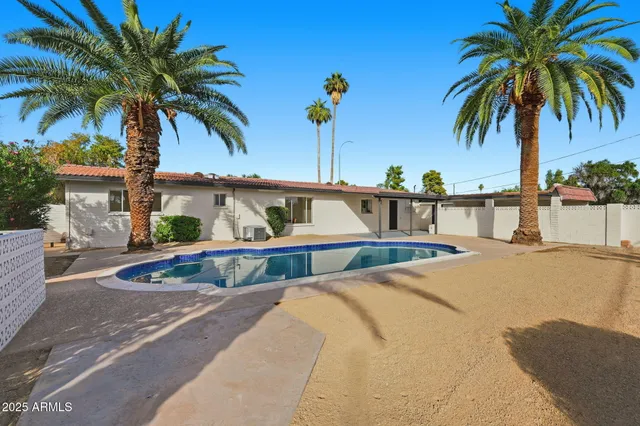 a view of outdoor space with palm trees