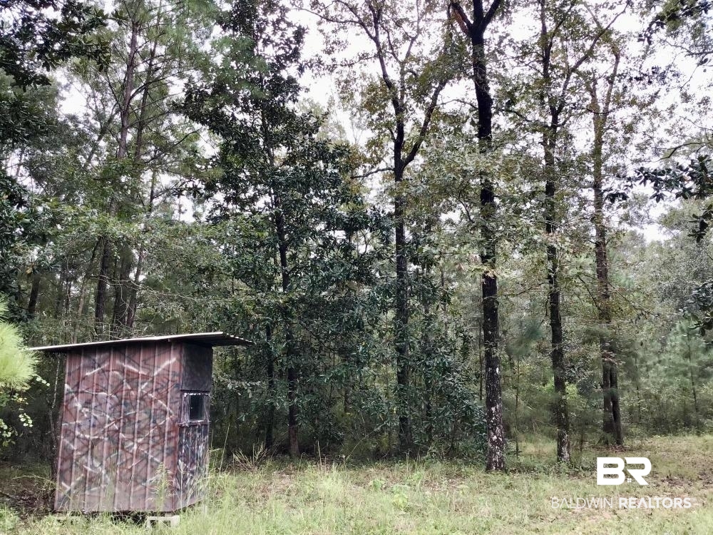 0 Country Road Axis, AL 36505 - Photo 27 of 42