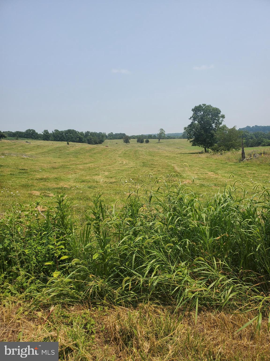 Lot 82 Chapel Road Middletown, VA 22645 - Photo 1 of 2