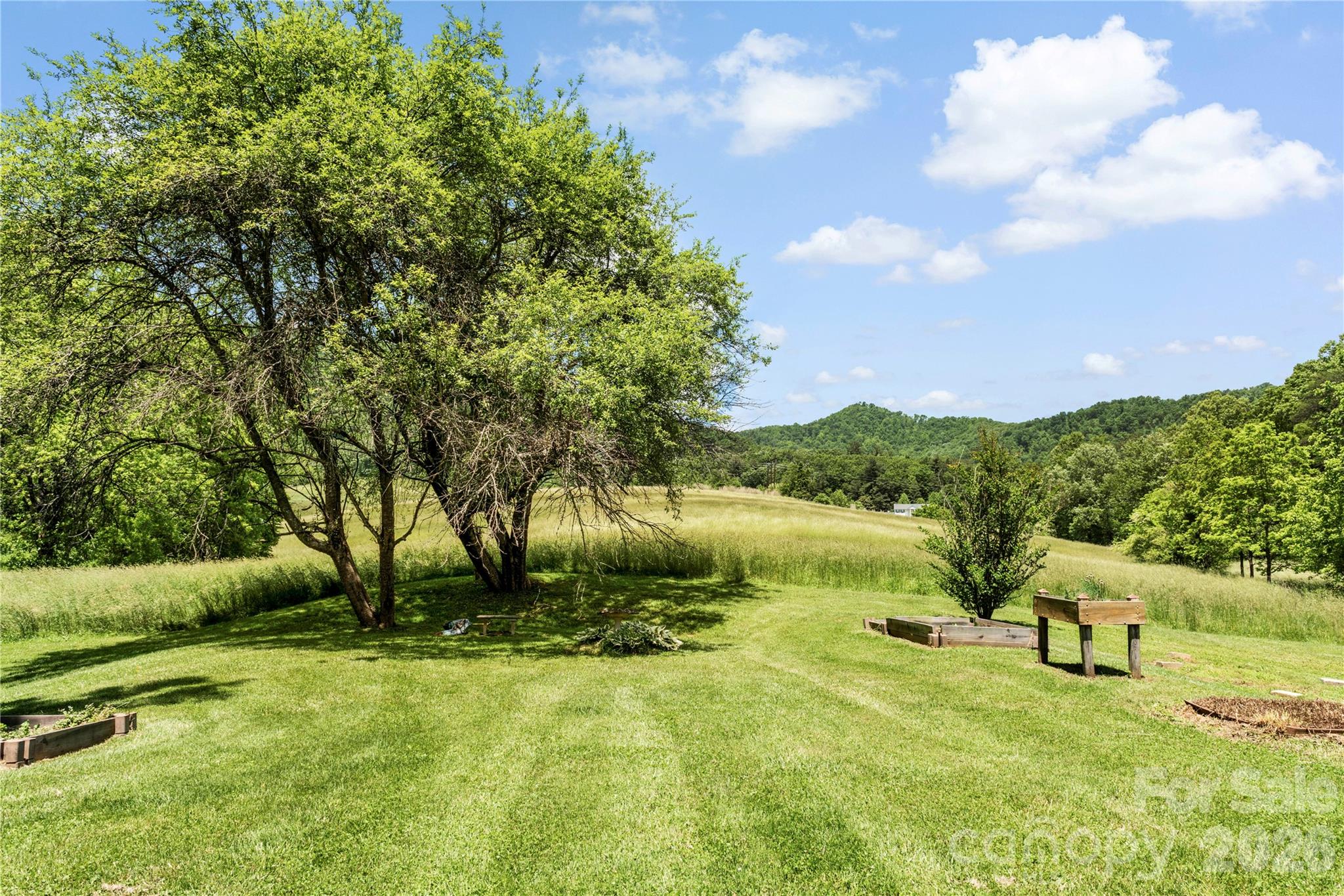514 Roy Forrester Road Mars Hill, NC 28754 - Photo 22 of 25 a view of a lake with a yard