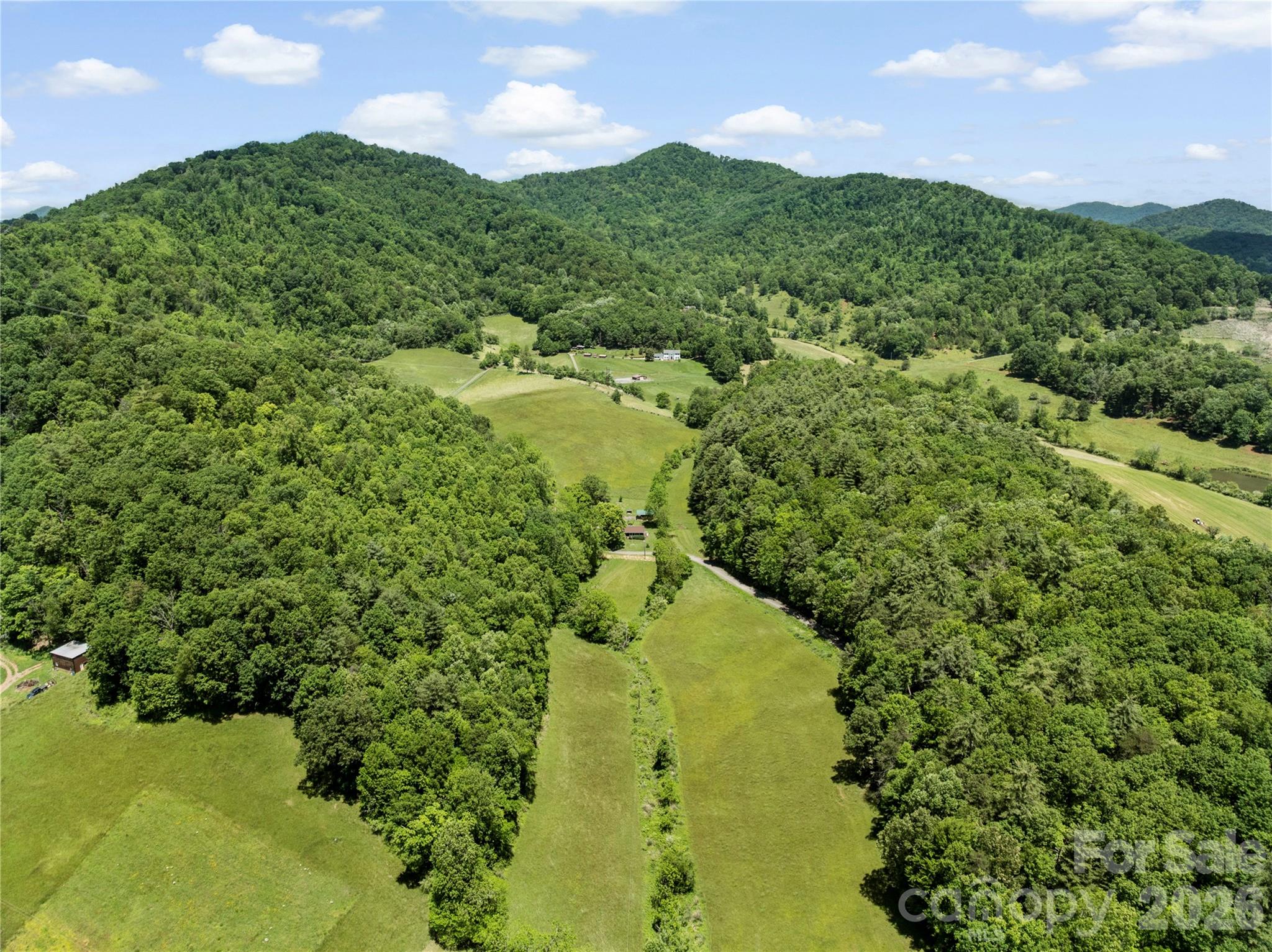 514 Roy Forrester Road Mars Hill, NC 28754 - Photo 23 of 25 a view of a green yard with lots of trees
