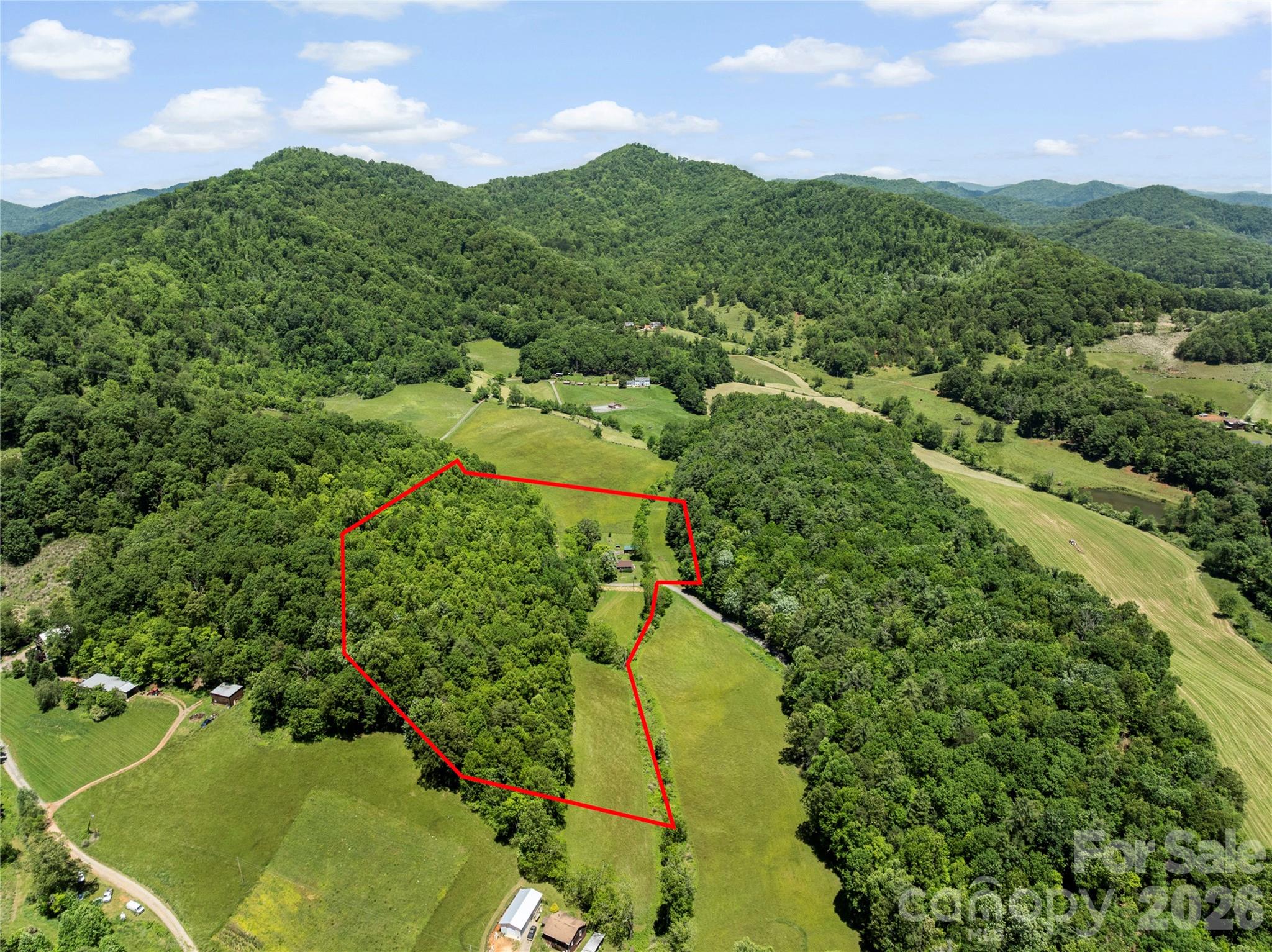 514 Roy Forrester Road Mars Hill, NC 28754 - Photo 24 of 25 a view of a lush green forest