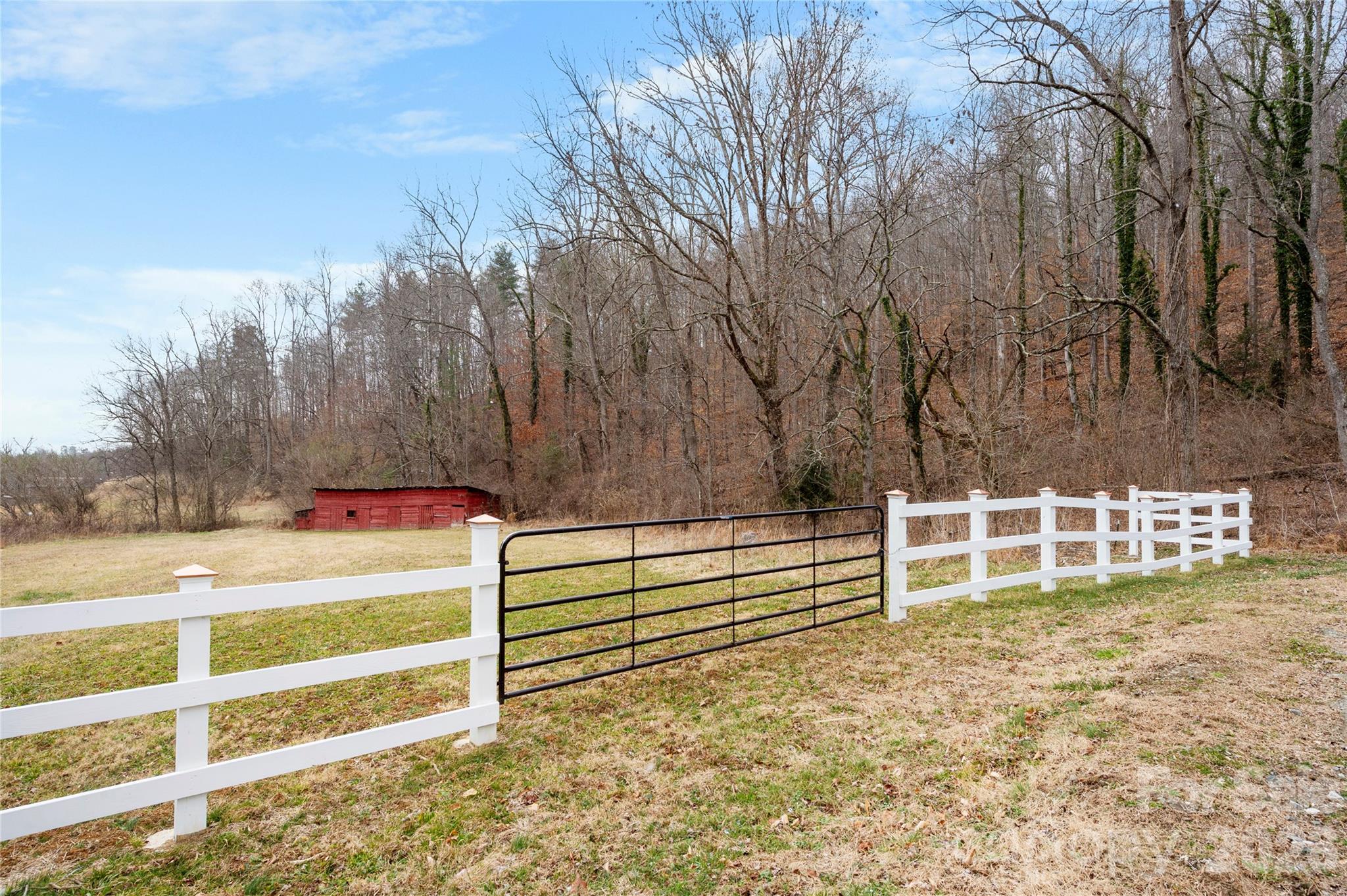 514 Roy Forrester Road Mars Hill, NC 28754 - Photo 4 of 25 a view of a backyard