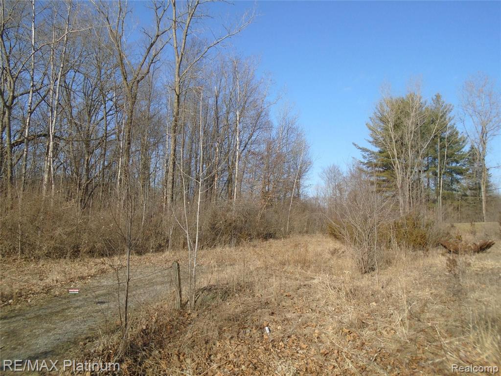 V/l Bergin Road Howell, MI 48843 - Photo 4 of 4