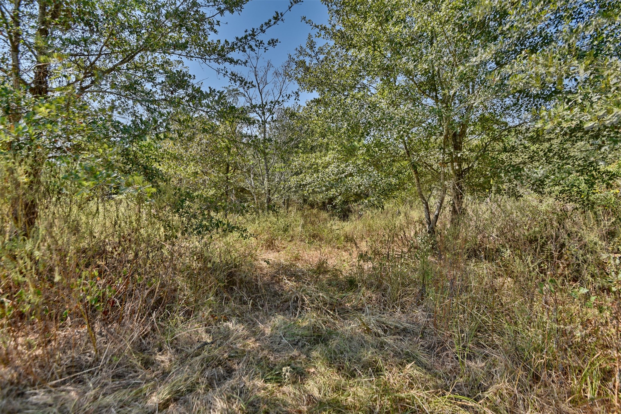 0 Riley Waller, TX 77484 - Photo 7 of 10