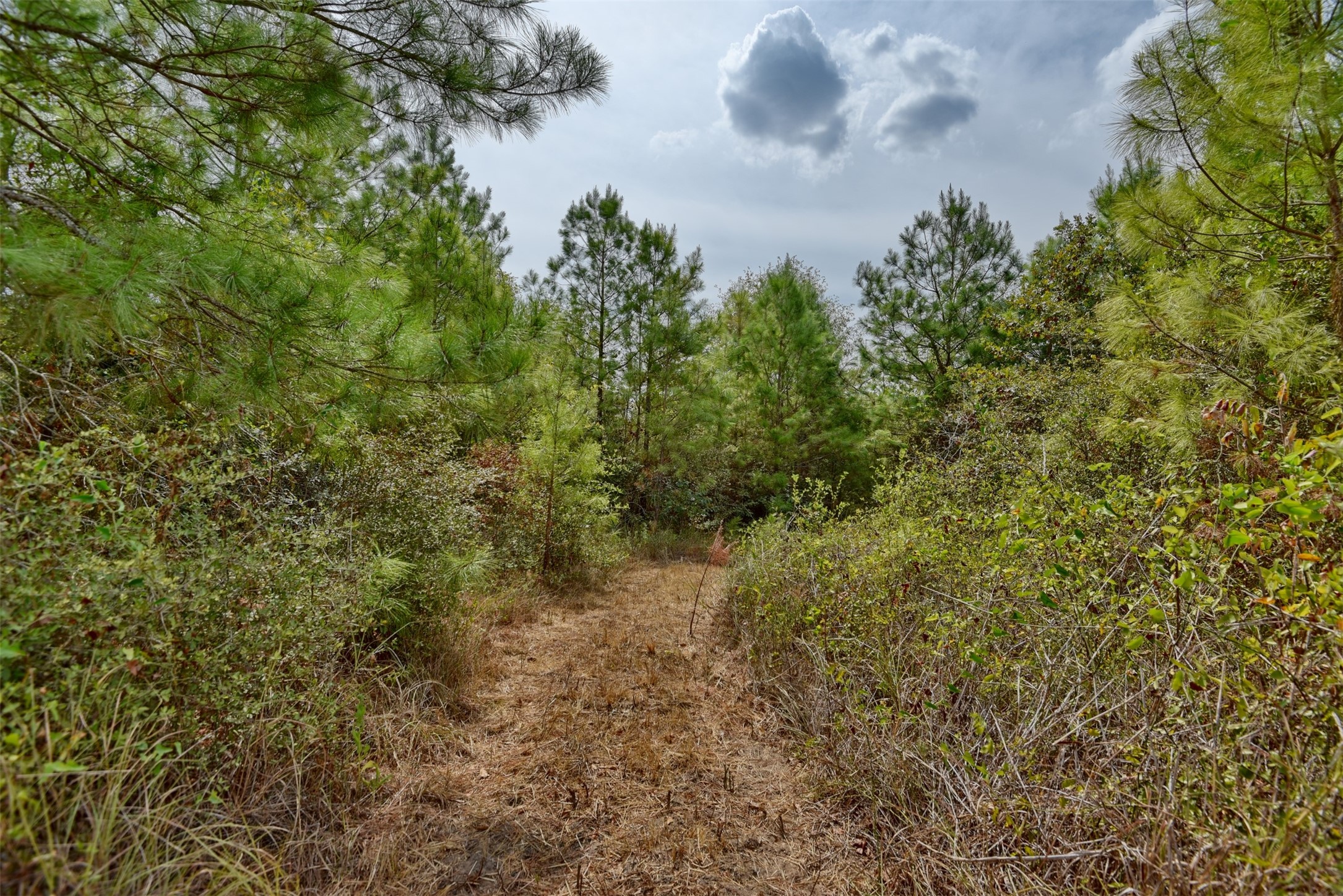 0 Riley Waller, TX 77484 - Photo 10 of 10
