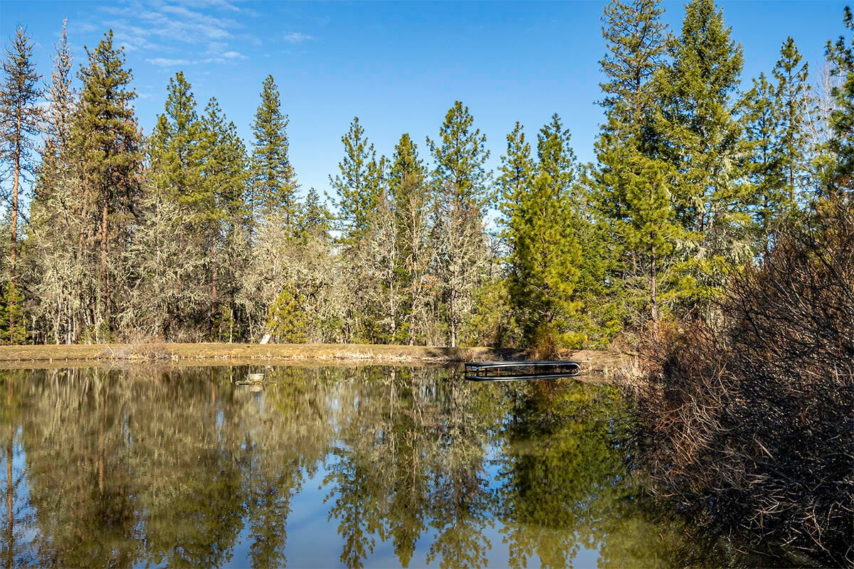 16575 Meadows Road White City, OR 97503 - Photo 40 of 46 DSC08776