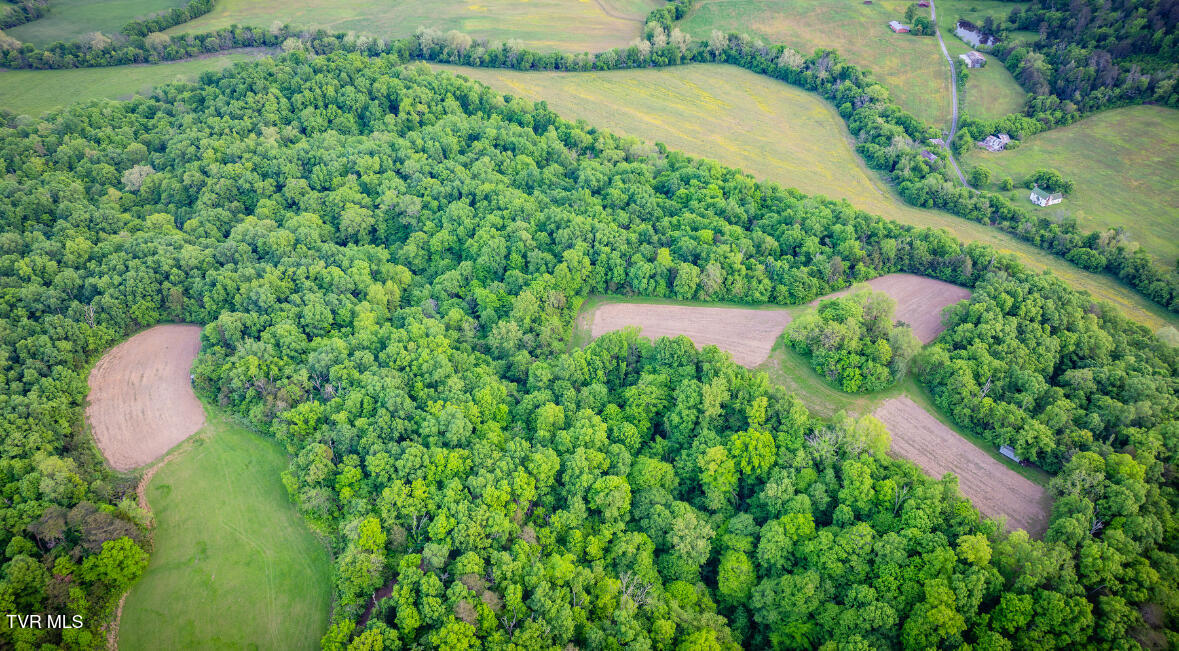 4045 South Mohawk Road Midway, TN 37809 - Photo 39 of 44 IMG_3762