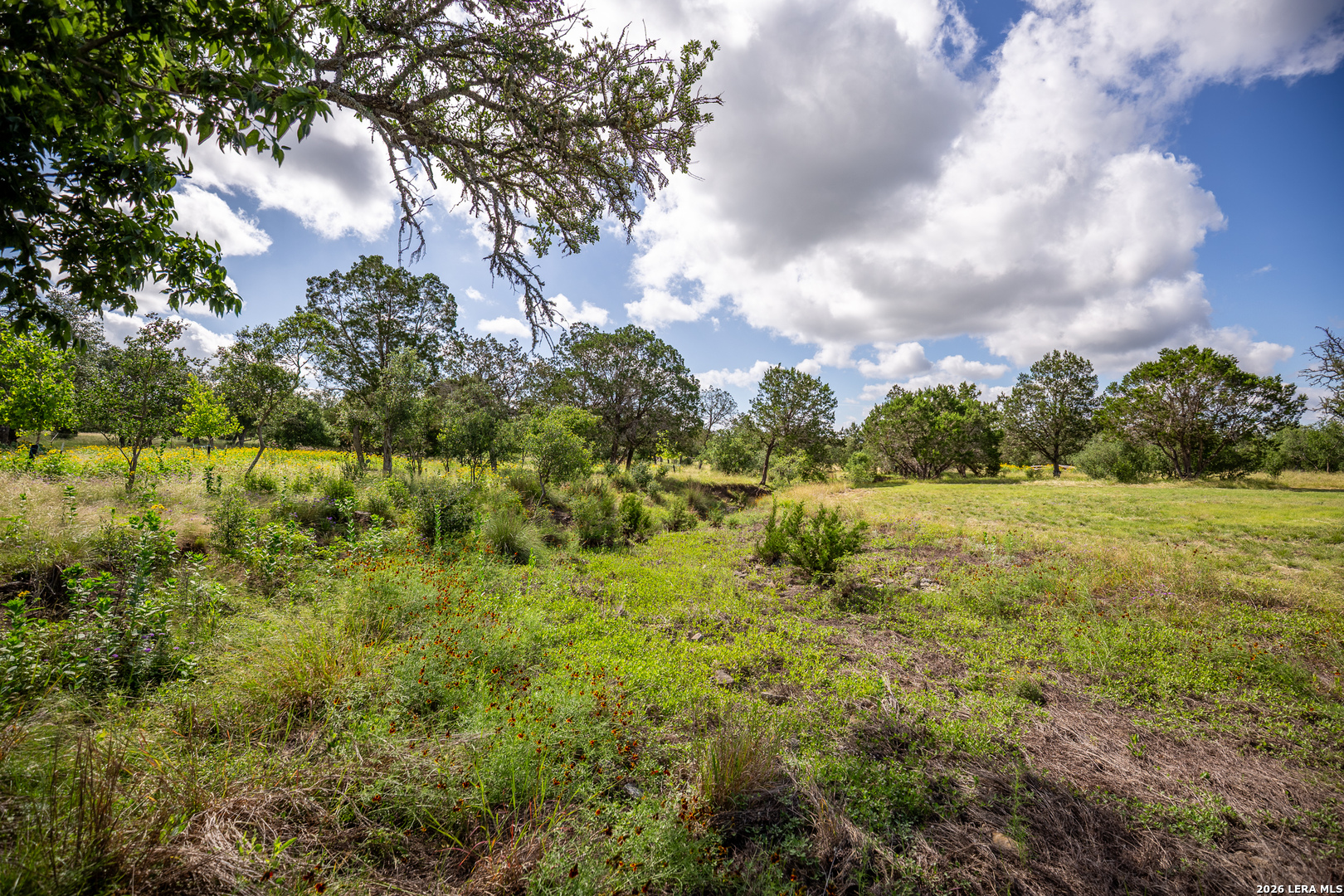 395 Bluff Creek Road North Center Point, TX 78010 - Photo 45 of 55 Gallery Image 45