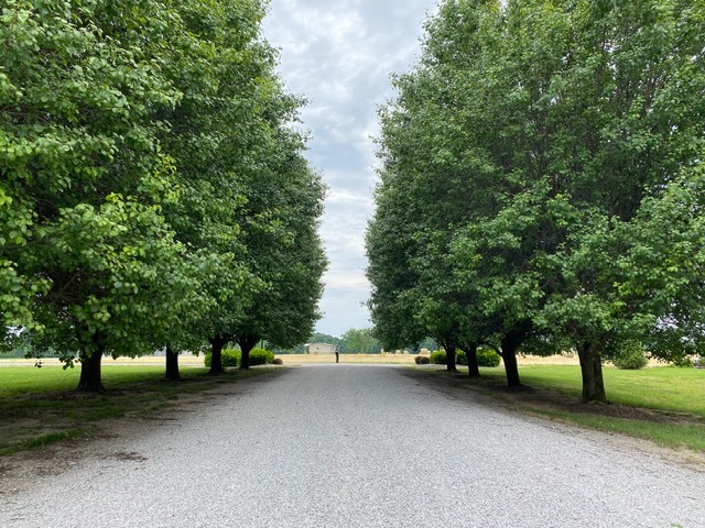 11426 East Radisson Road Mount Vernon, IL 62864 - Photo 33 of 56 a view of a street with trees on both side of it