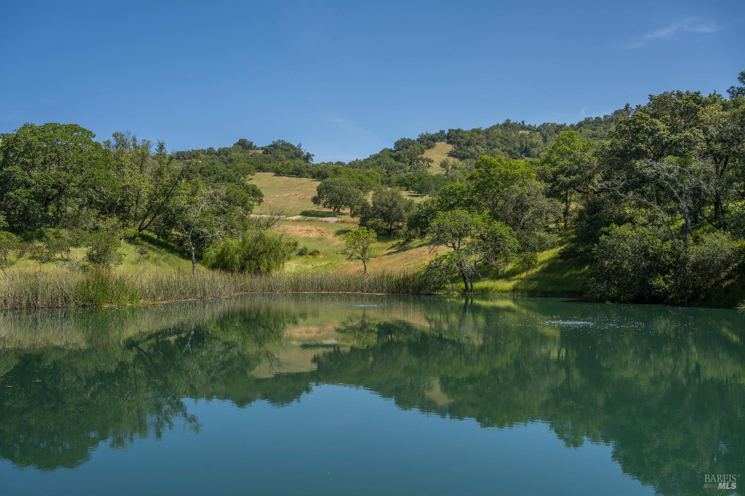 3866 Lovall Valley Road Sonoma, CA 95476 - Photo 3 of 44