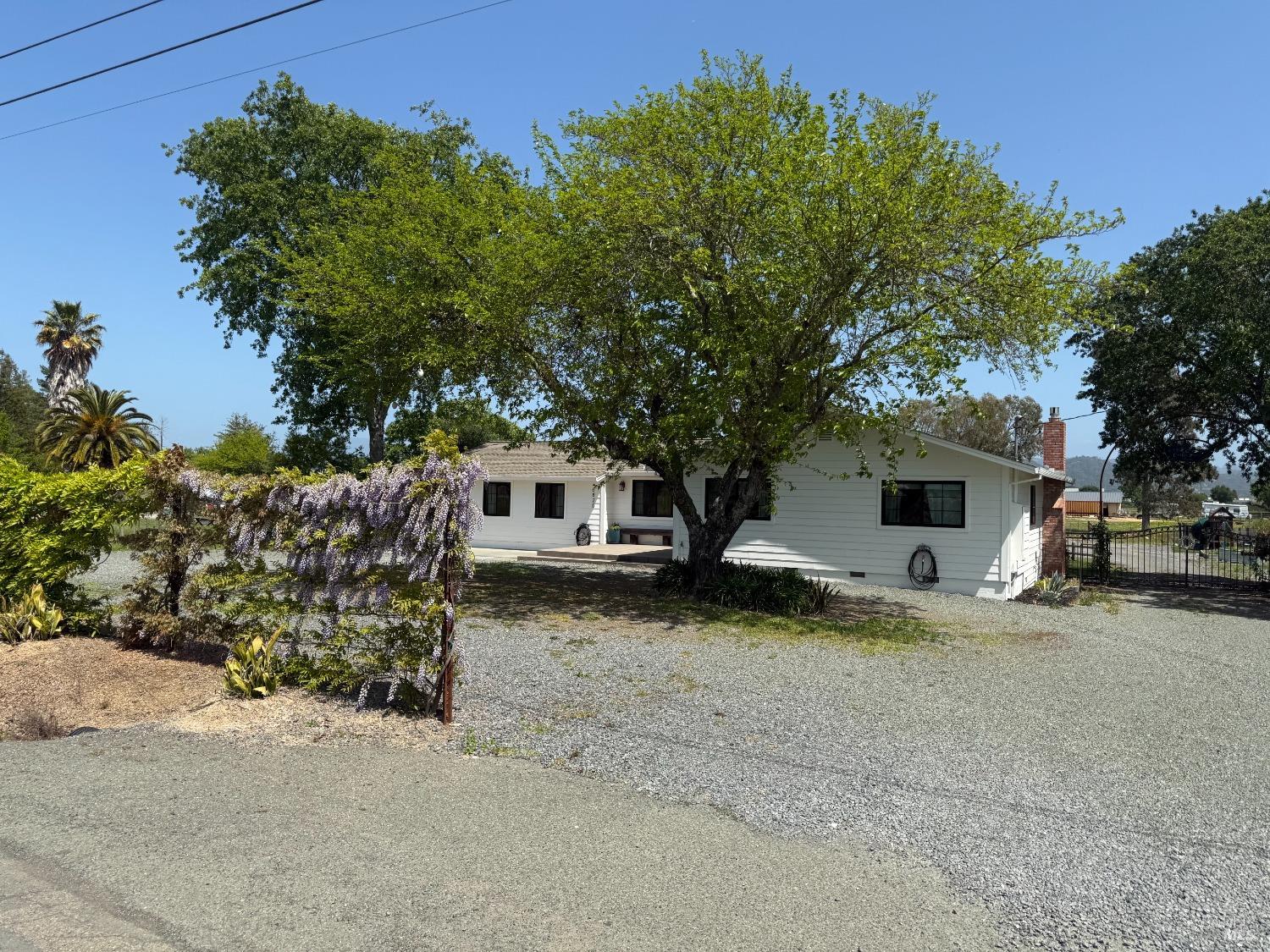 a house with a tree in front of it