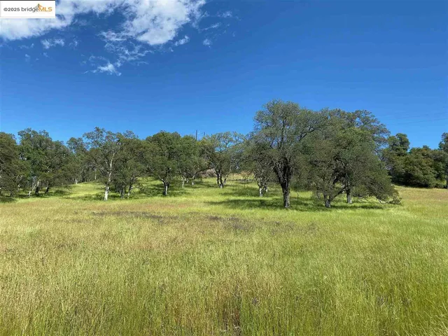 a view of a golf course with green space