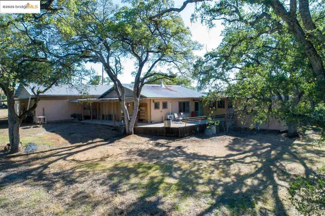 a view of a yard with a tree