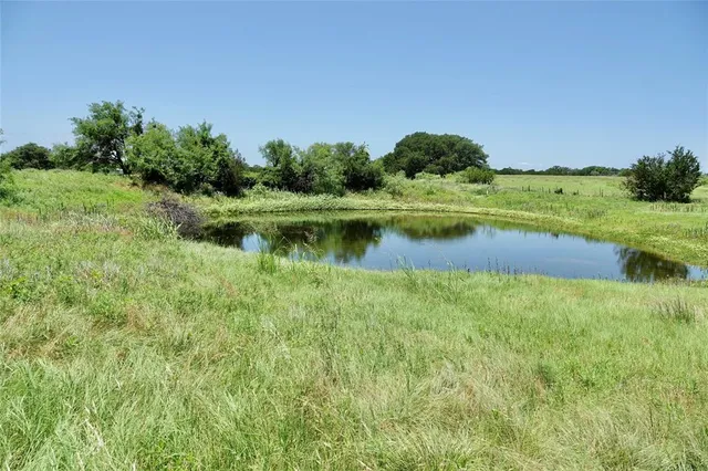 a view of a lake with a yard and large trees
