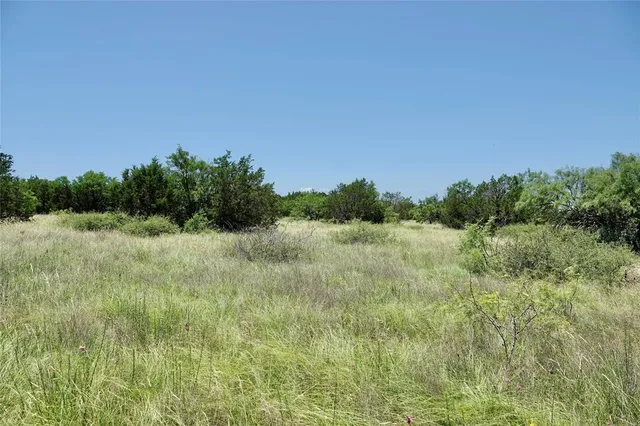 a view of a field of grass and trees