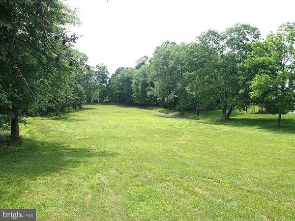 a view of a green field with trees in the background