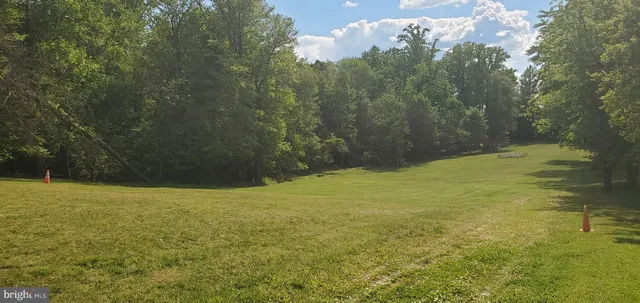 a view of a yard with an trees