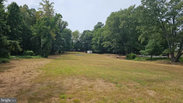 a view of a field with trees in the background