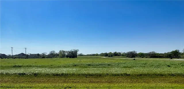 a view of a grassy field with trees