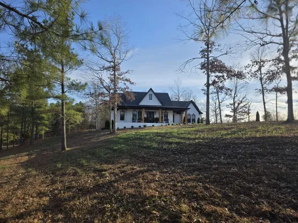 a view of backyard with green space