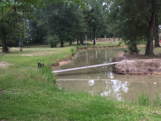 29133 Church Of God Road Springfield, LA 70462 - Photo 8 of 14