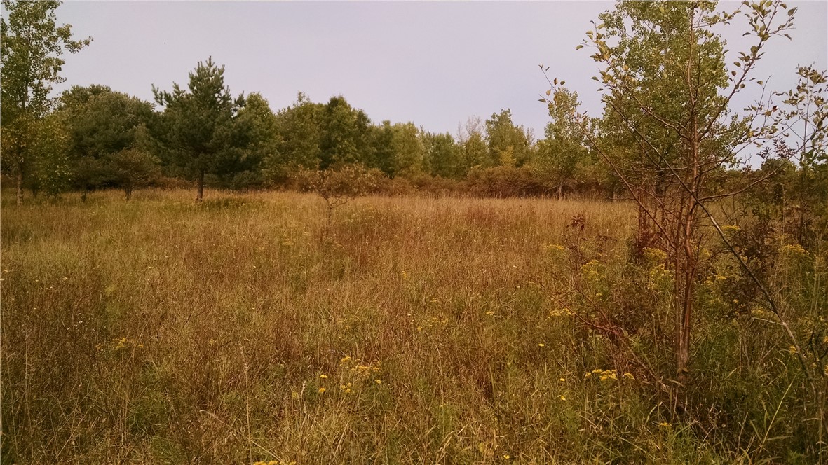 3773 Transit Road Murray, NY 14411 - Photo 1 of 1