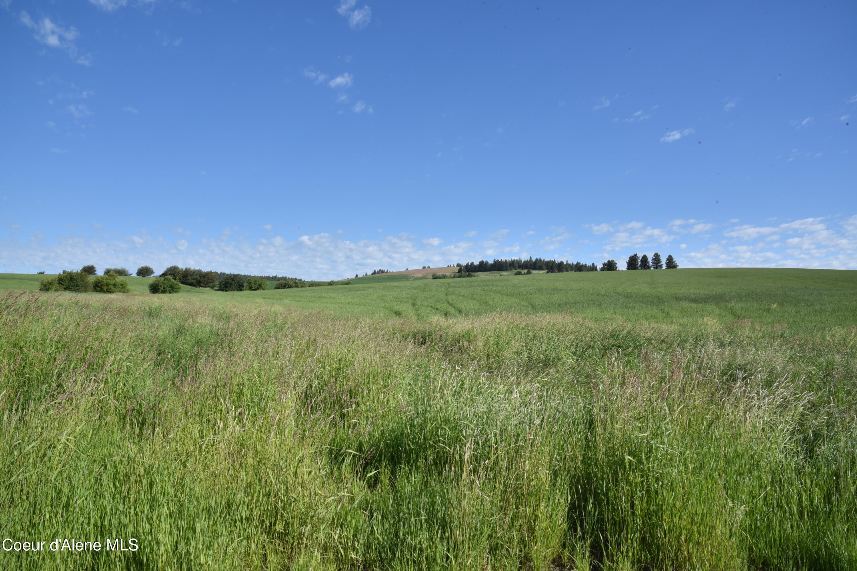 2 Sanders Road Desmet, ID 83824 - Photo 1 of 9 1