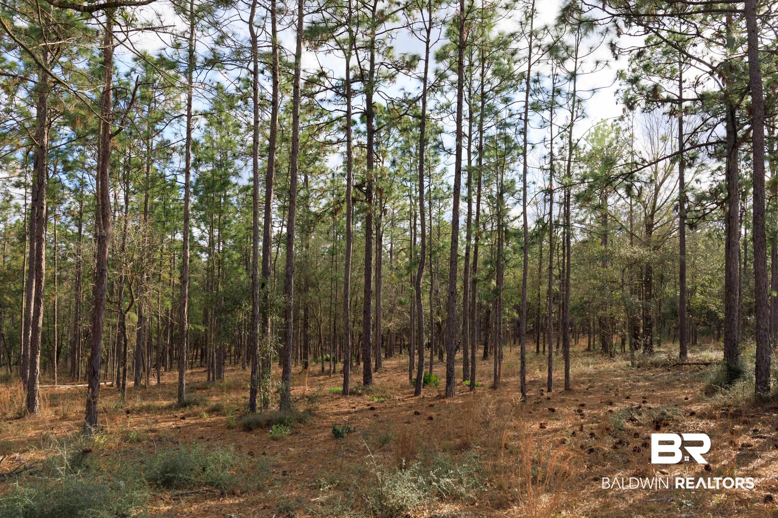 0 Bromley Road Daphne, AL 36527 - Photo 7 of 16