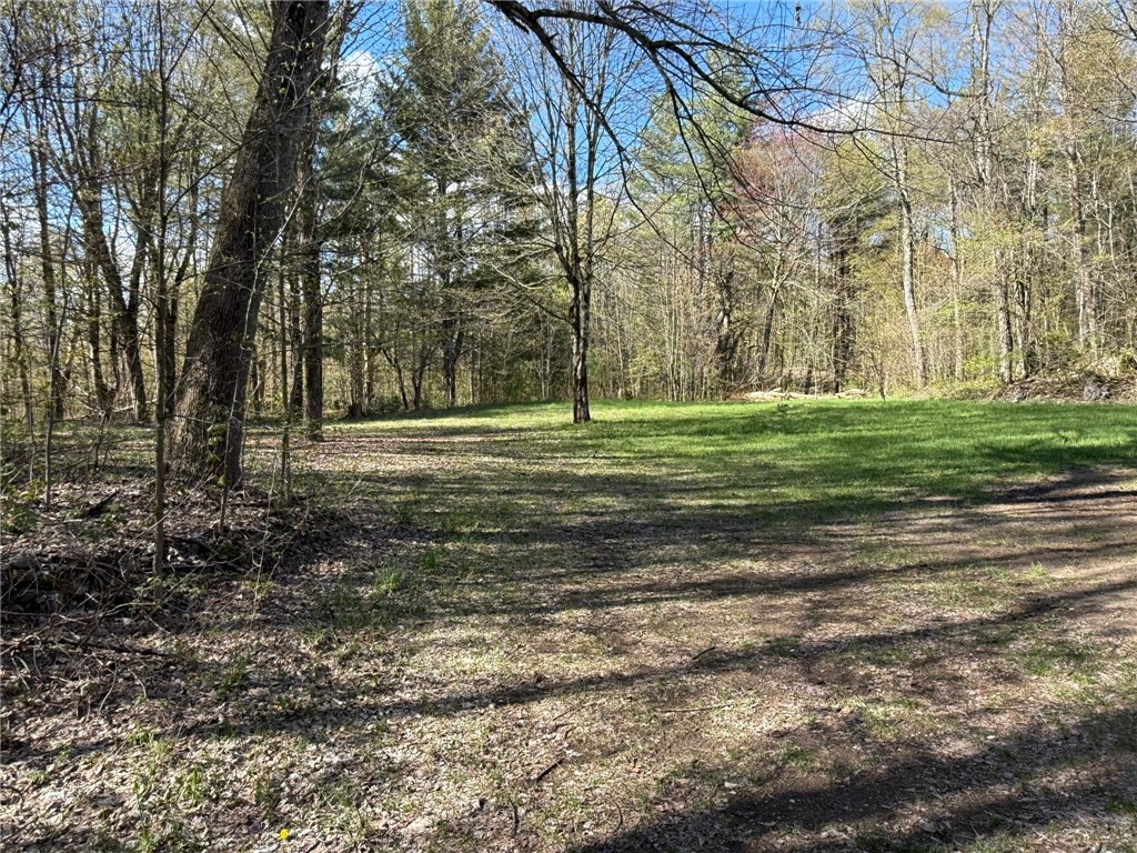 7063 Richardson Road Diana, NY 13648 - Photo 19 of 19