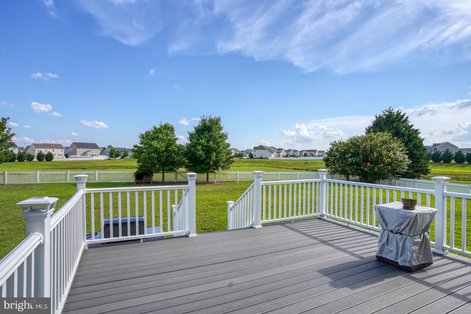 307 Chestnut Ridge Drive Magnolia, DE 19962 - Photo 28 of 33