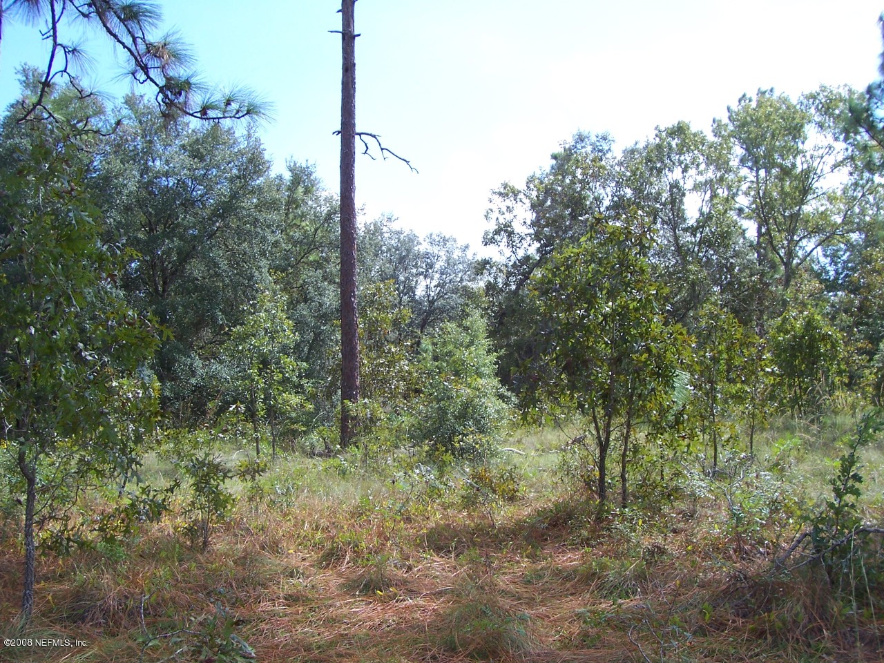 6097 Cornell Road Keystone Heights, FL 32656 - Photo 2 of 3 6097 Cornell Road, Clay County