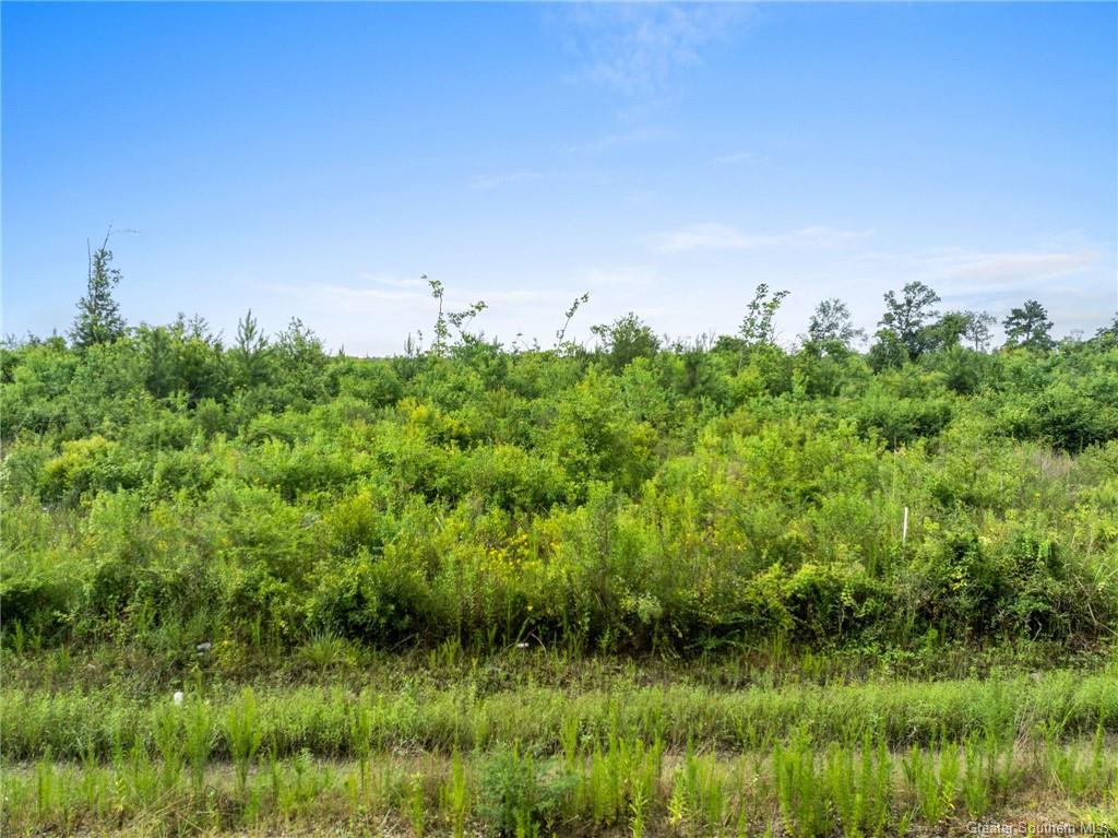 2 Abie Fontenot Road Iowa, LA 70647 - Photo 4 of 9