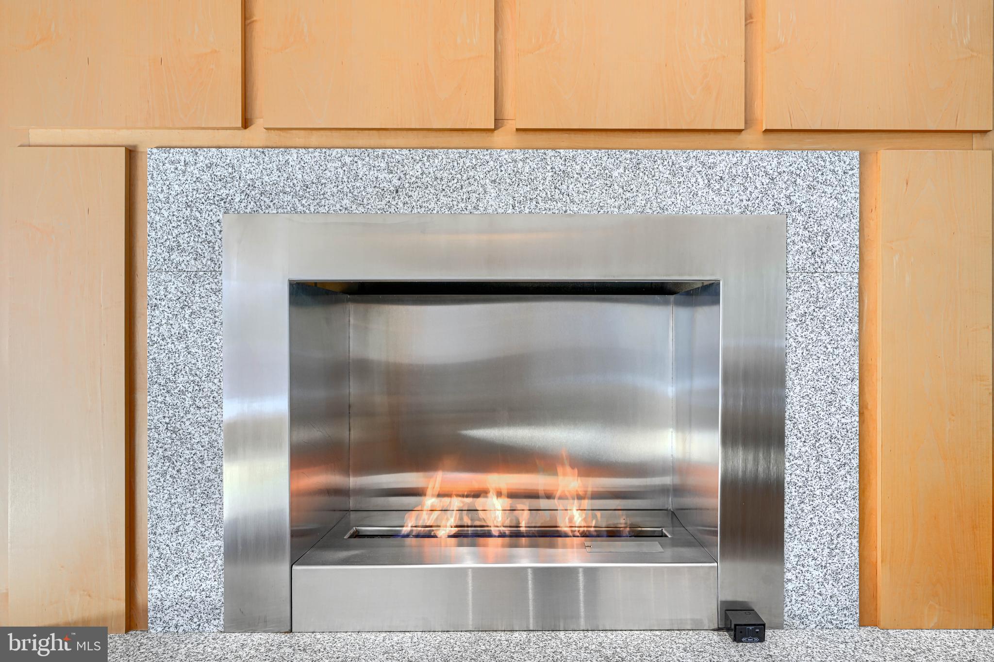 2504 Stone Mill Road Baltimore, MD 21208 - Photo 28 of 123 Stainless gas fireplace w/decorative wood detail