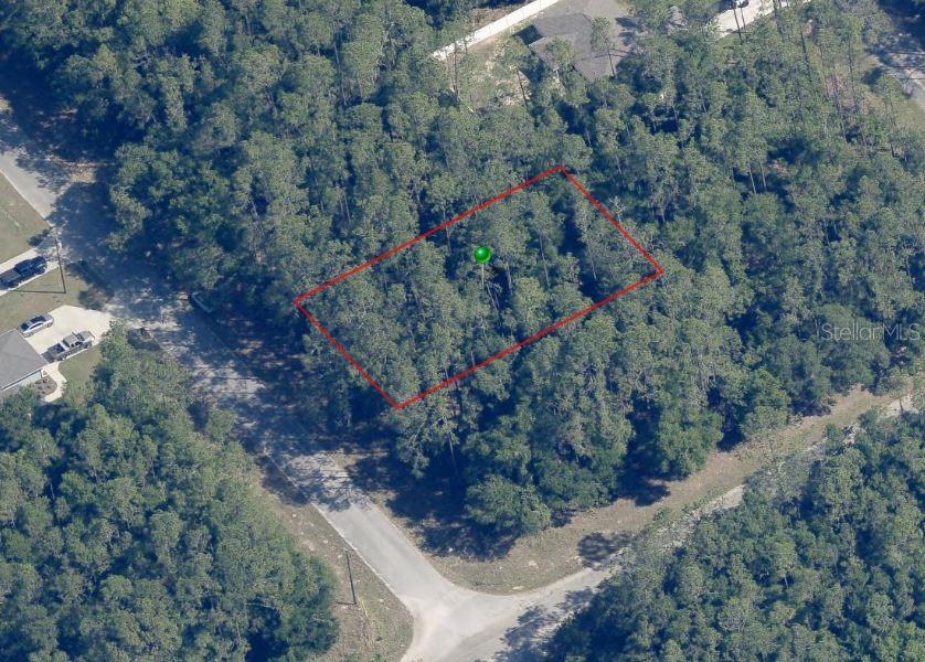 8683 North Spikes Way Dunnellon, FL 34434 - Photo 1 of 1 a view of a forest with a tree