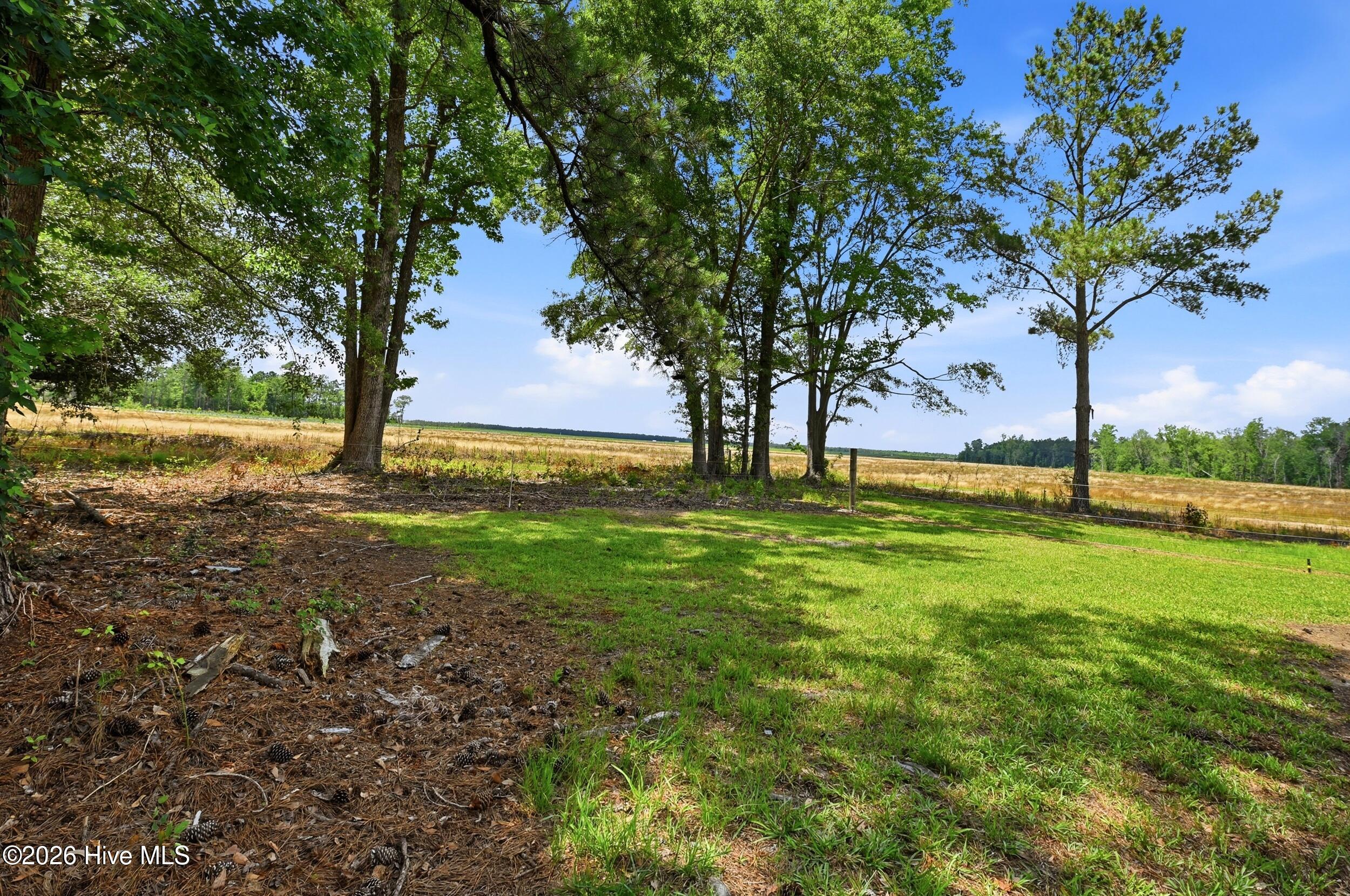 3984 Beattys Bridge Road Atkinson, NC 28421 - Photo 36 of 49 35_3984_beattys_bridge_rd_035