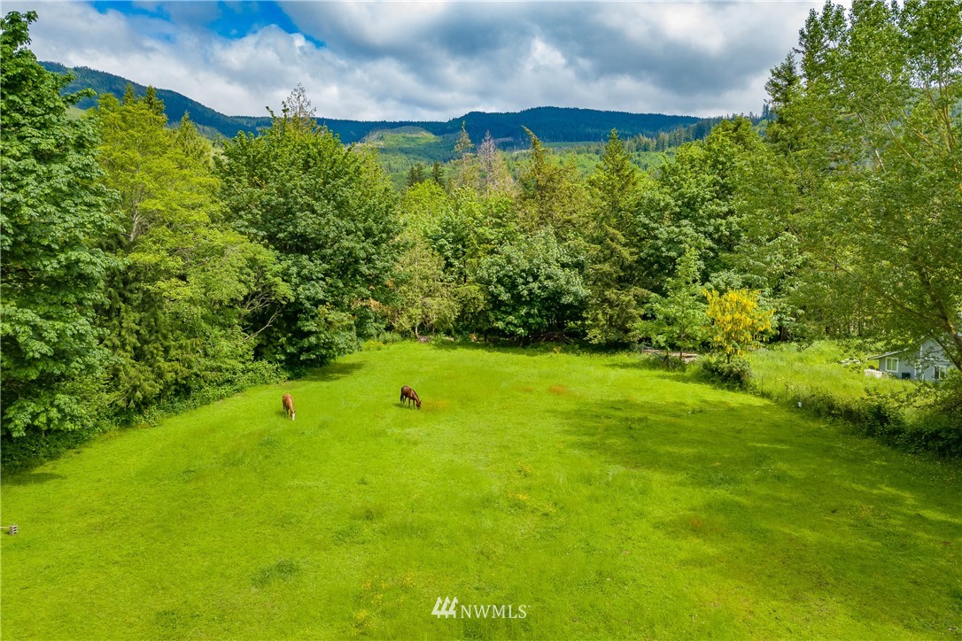 6820 Goodwin Road Everson, WA 98247 - Photo 29 of 34 a view of a green yard with large trees
