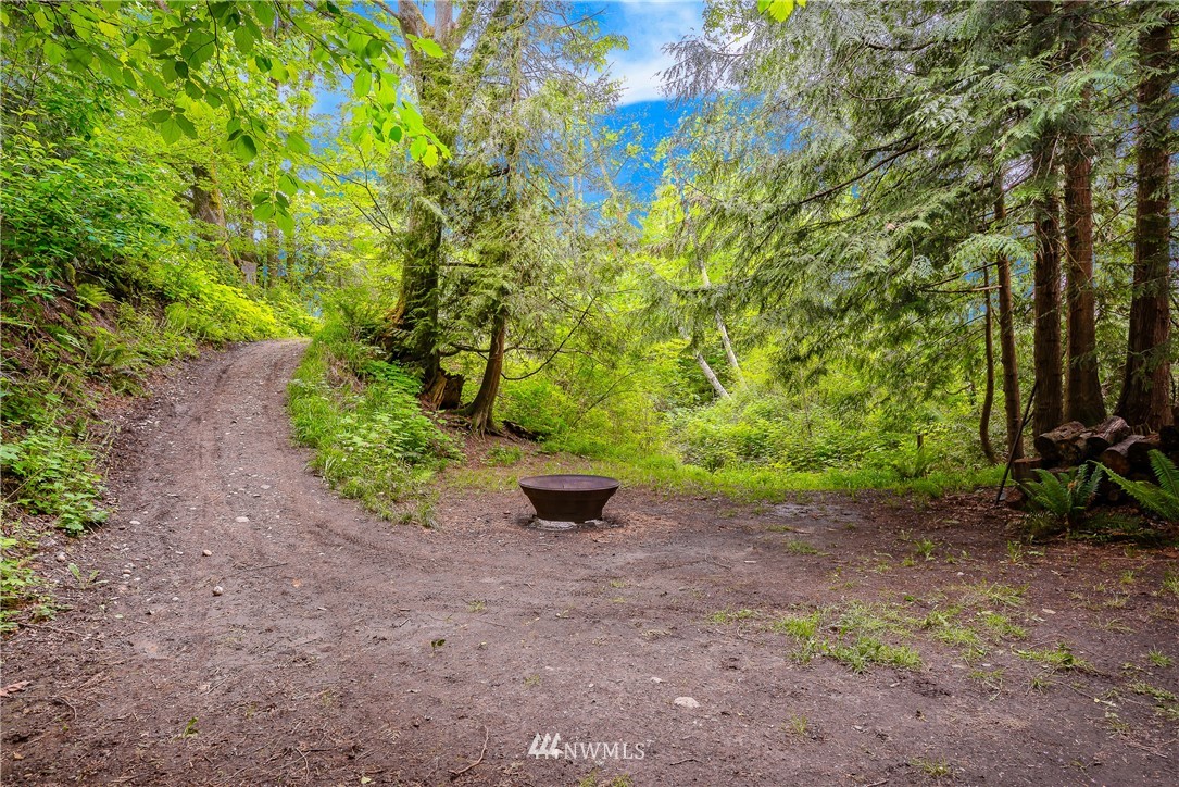 6820 Goodwin Road Everson, WA 98247 - Photo 30 of 34 a view of a bench in a garden
