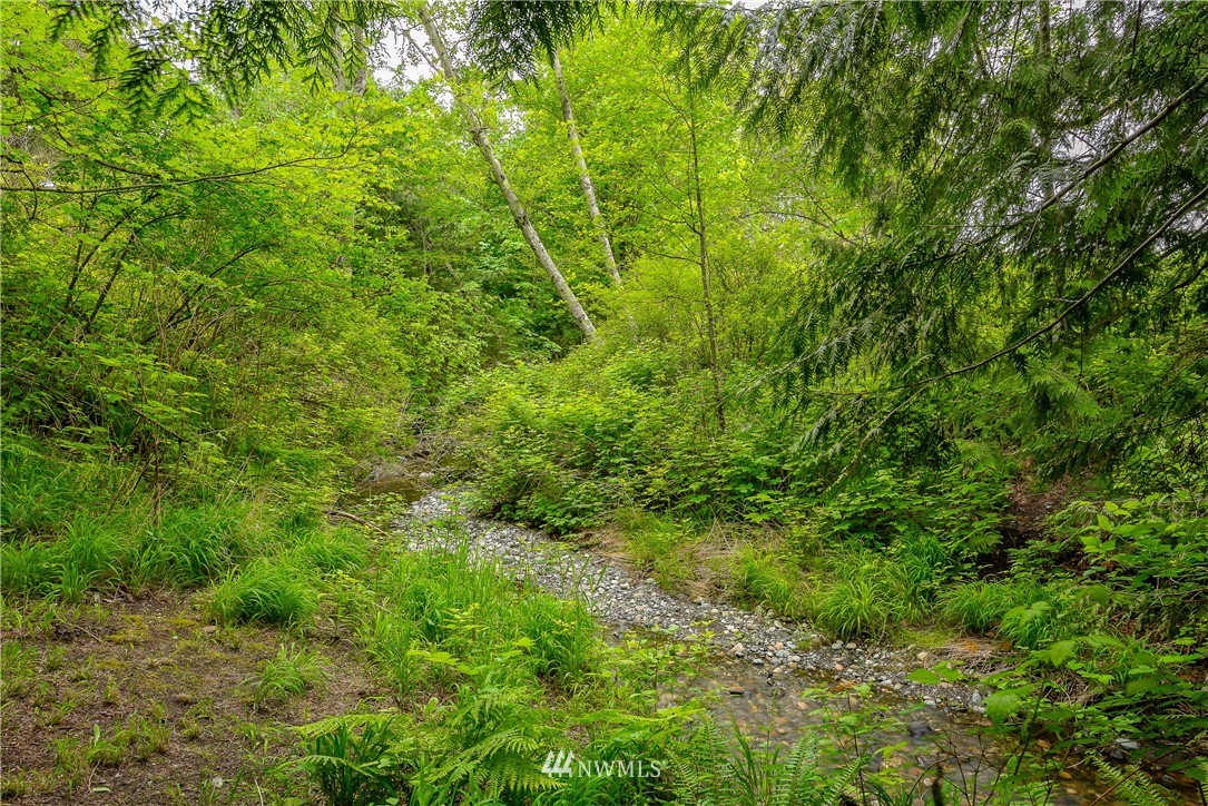 6820 Goodwin Road Everson, WA 98247 - Photo 31 of 34 a view of a lush green space
