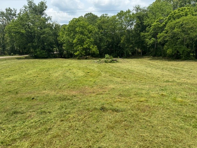 105 Alf Harris Road Prospect, TN 38477 - Photo 11 of 12 a view of a yard with a sink