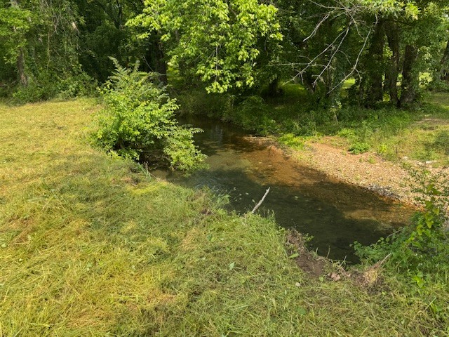 105 Alf Harris Road Prospect, TN 38477 - Photo 2 of 12 a view of a yard