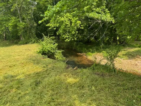a view of a garden
