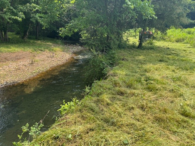 105 Alf Harris Road Prospect, TN 38477 - Photo 4 of 12 a view of a garden with a lake