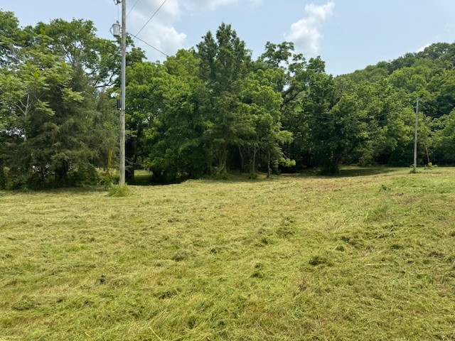 105 Alf Harris Road Prospect, TN 38477 - Photo 5 of 12 a view of basketball court