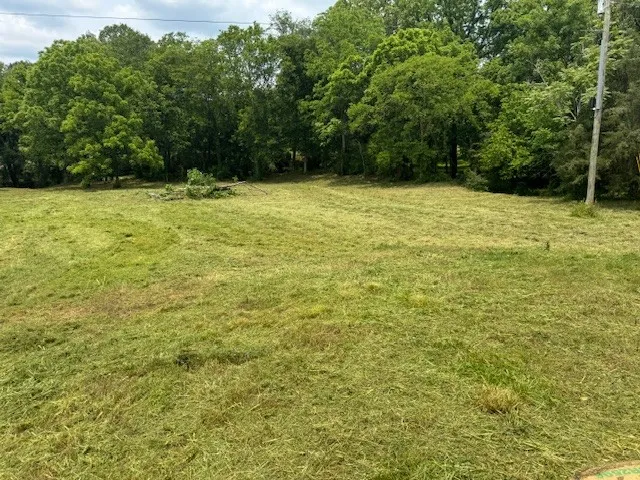 a view of a green yard