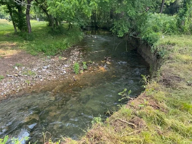 a view of a lake with a yard