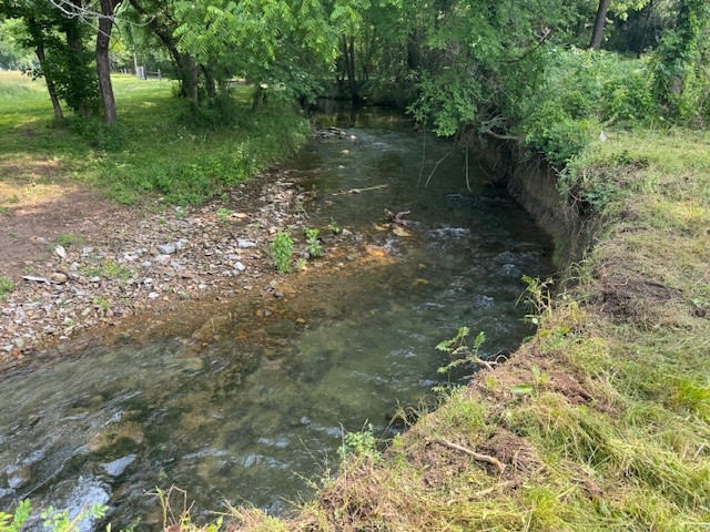 105 Alf Harris Road Prospect, TN 38477 - Photo 7 of 12 a view of a lake with a yard