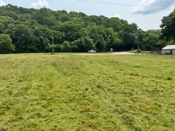 a view of outdoor space with a garden and trees