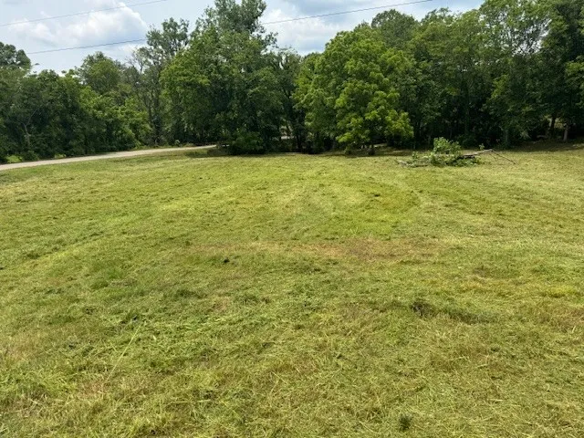 a view of outdoor space and yard
